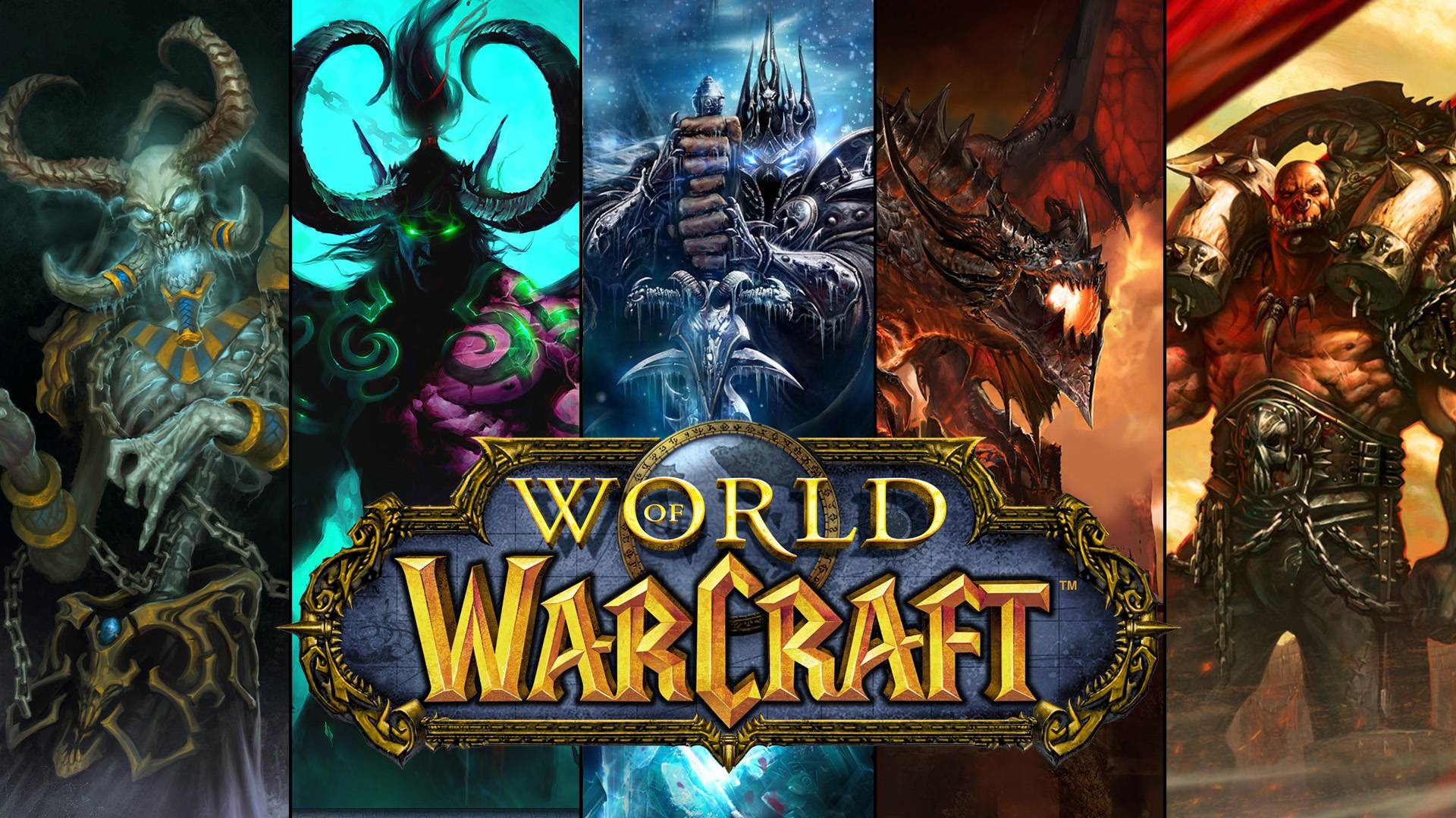 Welcome to the World of Warcraft